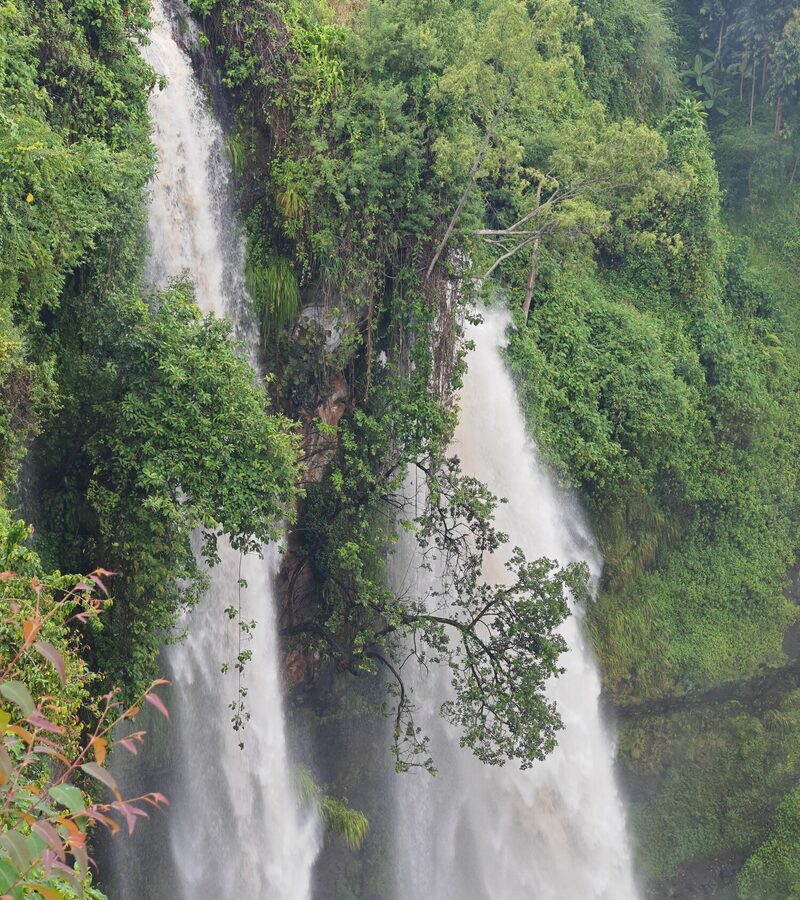 Sipi Falls dropping through forest on the slopes of Mount Elgon, eastern Uganda