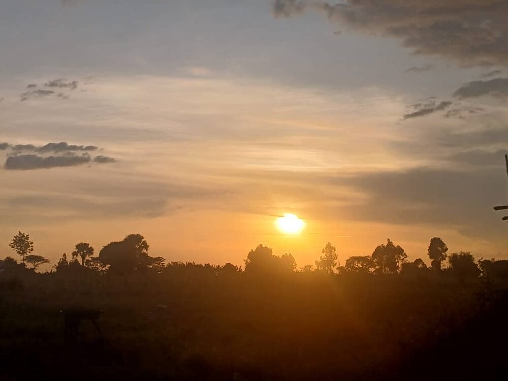 Sunset over the treeline from the road, Uganda