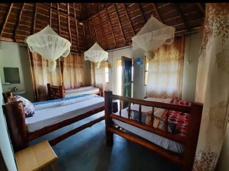 A banda with three beds under mosquito nets and a thatched roof